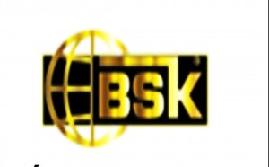 CTY TNHH Dịch Vụ BSK