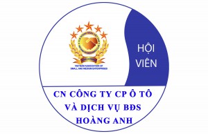 CN công ty CP ô tô và dịch vụ BĐS Hoàng Anh